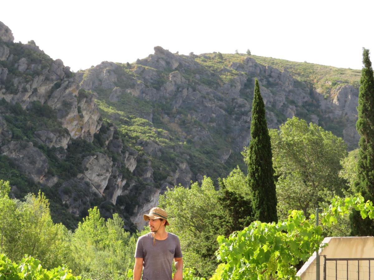 Villa Ripaud, Private River Swimming, Hot Tub Villeseque-des-Corbieres Exteriér fotografie
